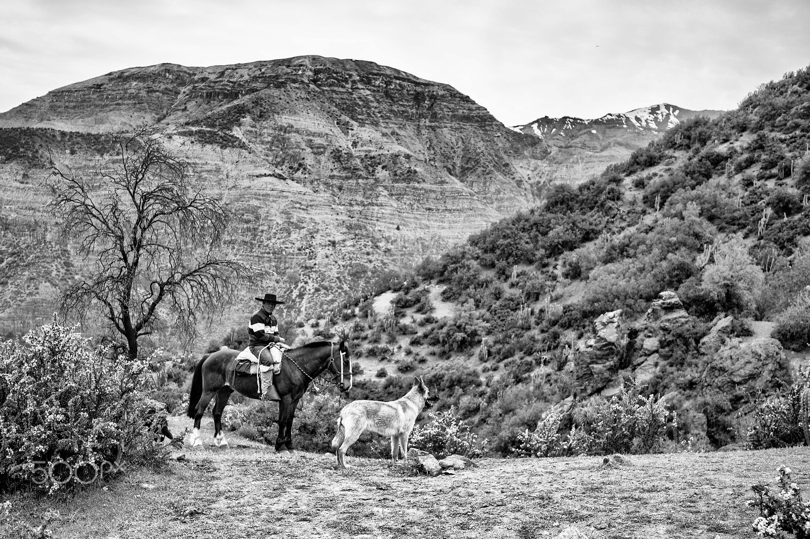 Canon EOS 5DS R + Canon EF 16-35mm F4L IS USM sample photo. El gaucho photography
