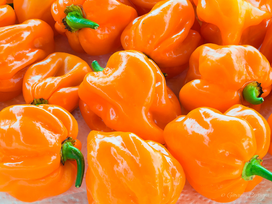 Olympus PEN E-PL5 sample photo. Closeup of fresh chillies habanero orange photography