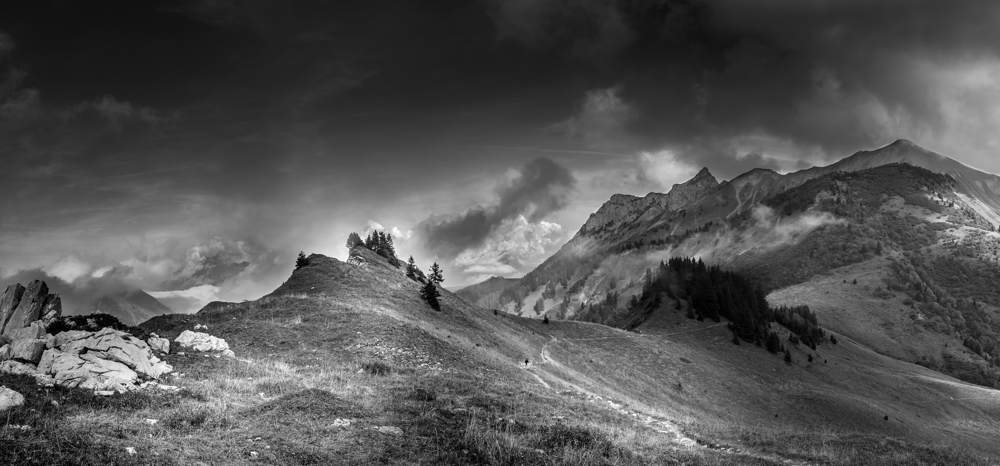 Pentax K-3 II sample photo. Little path in the bauge bw photography