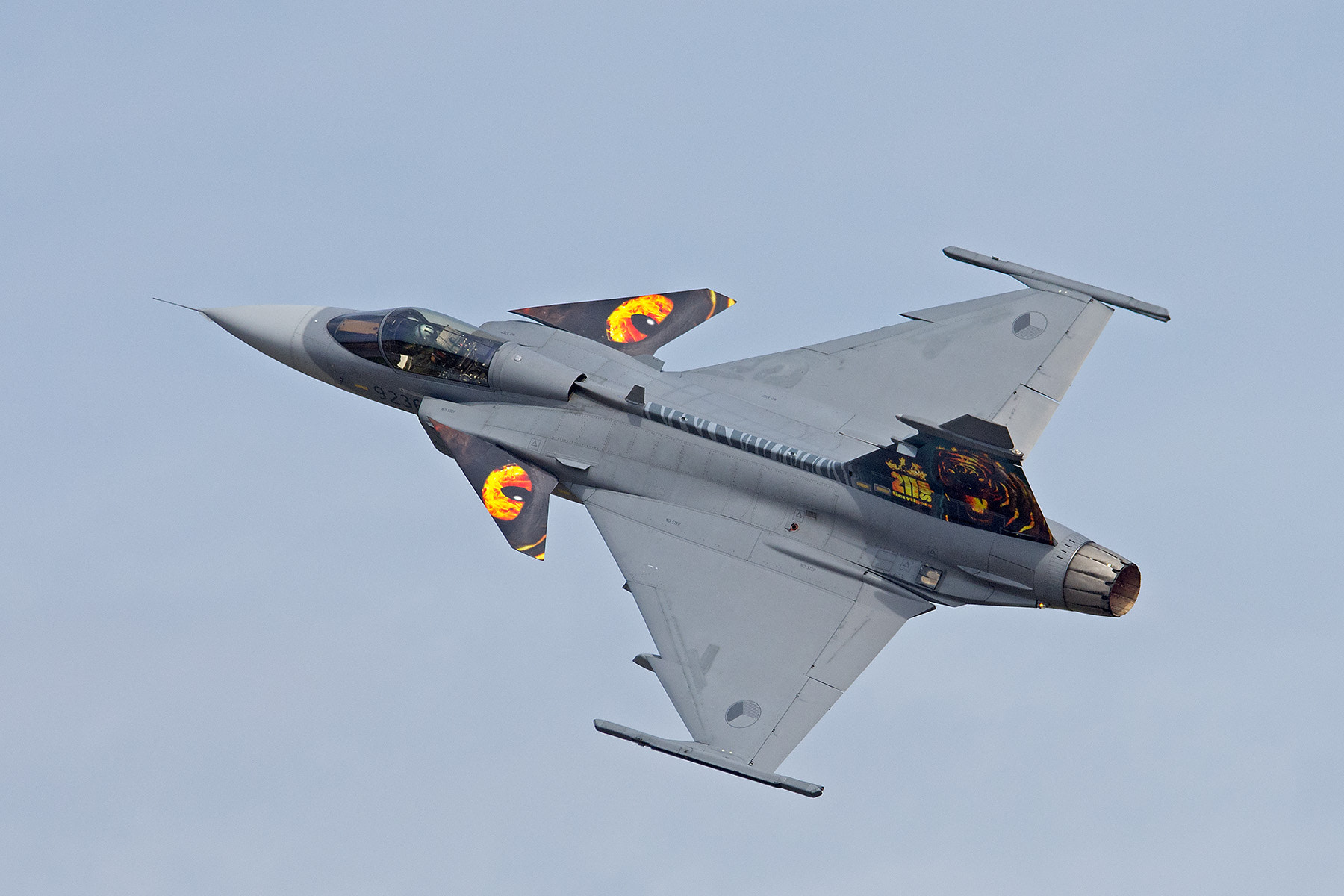 Pentax K-5 sample photo. Tiger gripen photography