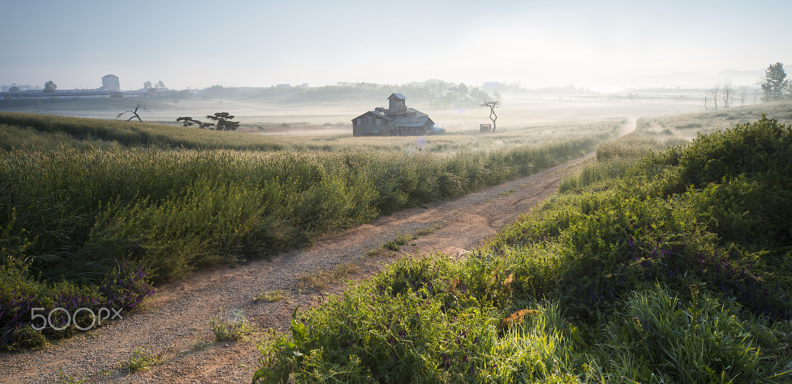 Sigma 12-24mm F4.5-5.6 EX DG Aspherical HSM sample photo. Morning walk photography