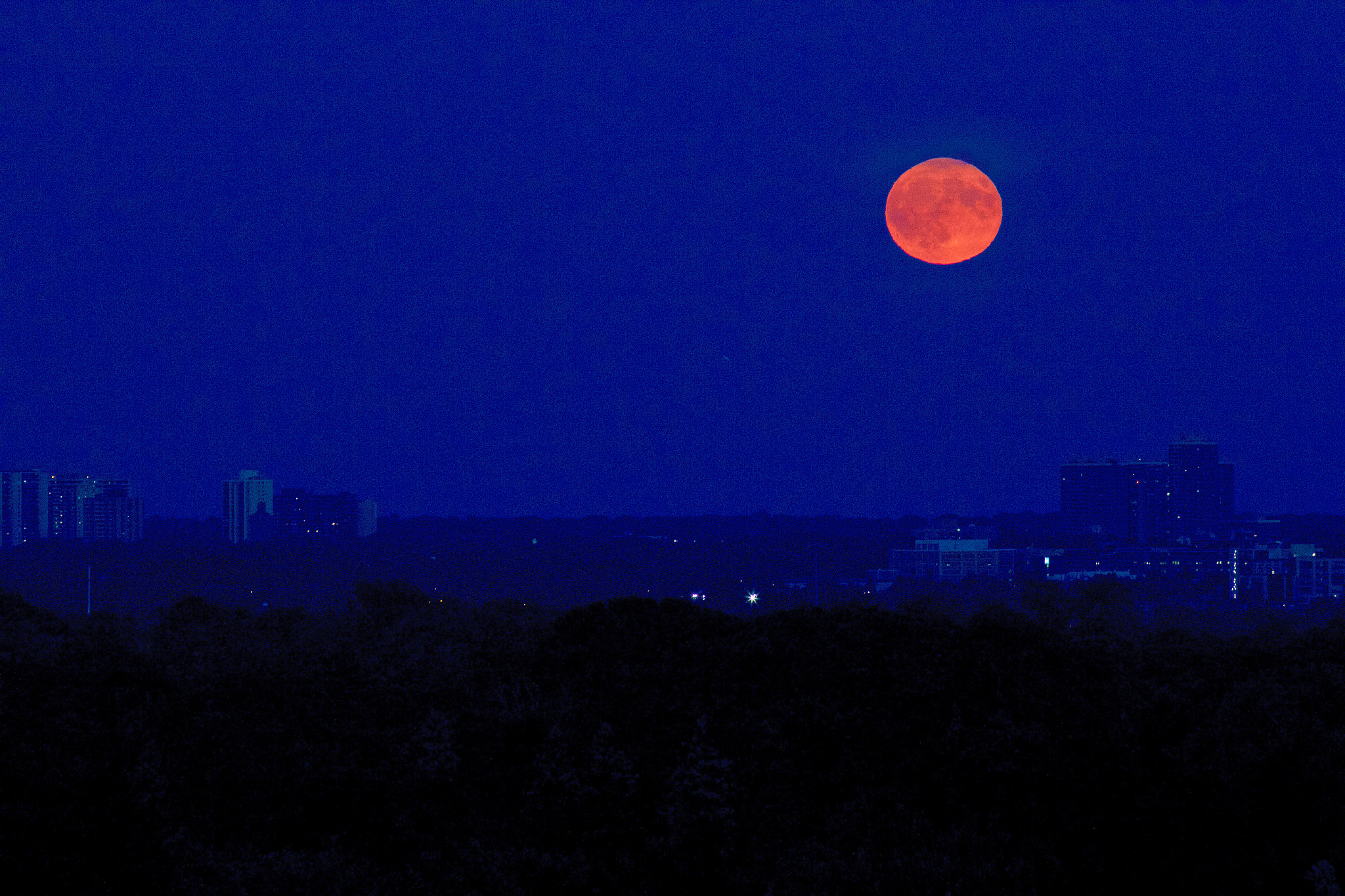 Canon EOS 550D (EOS Rebel T2i / EOS Kiss X4) + Canon EF 70-210mm f/4 sample photo. I see a harvest moon rising... photography