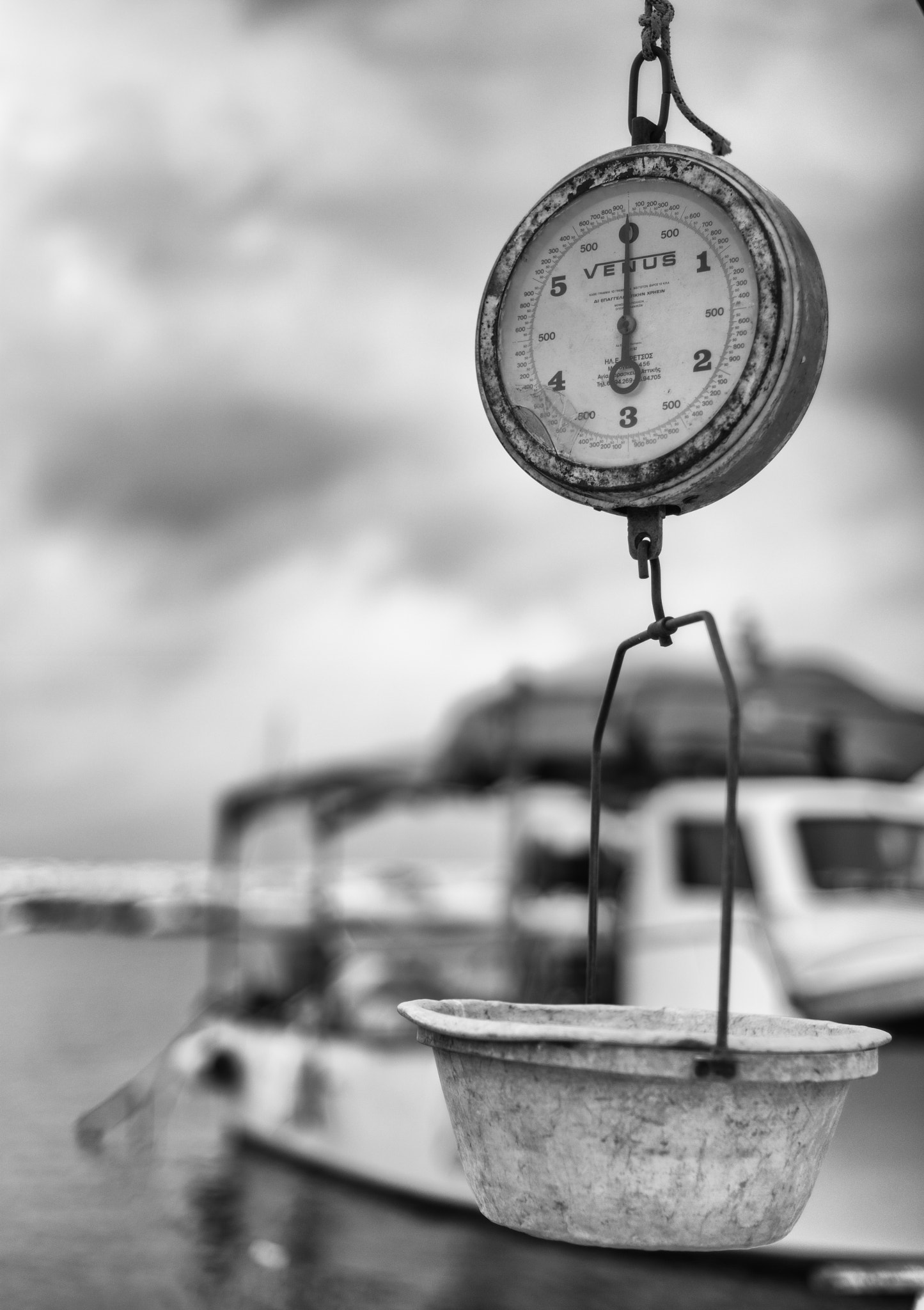 Summilux-M 1:1.4/50 sample photo. Fish market photography