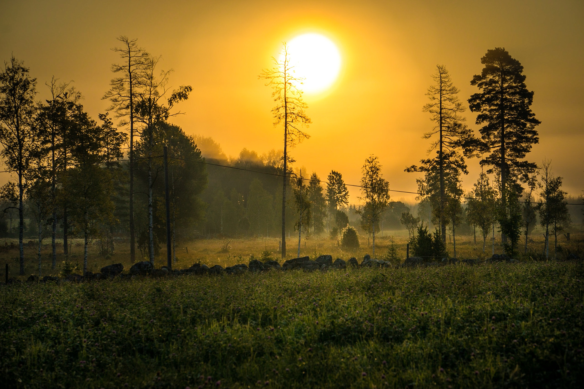 Sony a7R + ZEISS Batis 85mm F1.8 sample photo. Sunrise 3 photography