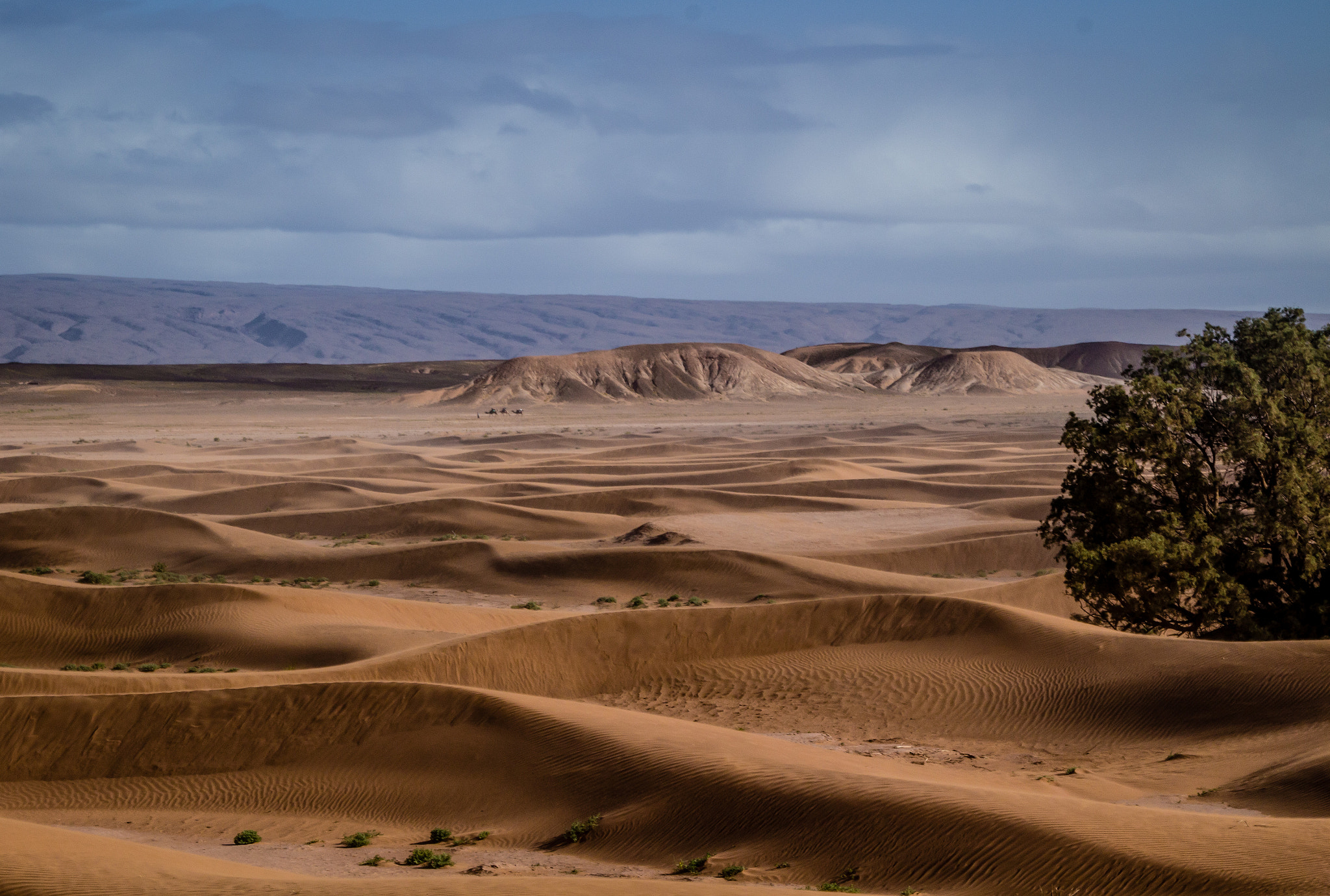 Canon EOS 100D (EOS Rebel SL1 / EOS Kiss X7) sample photo. Moroccan desert photography