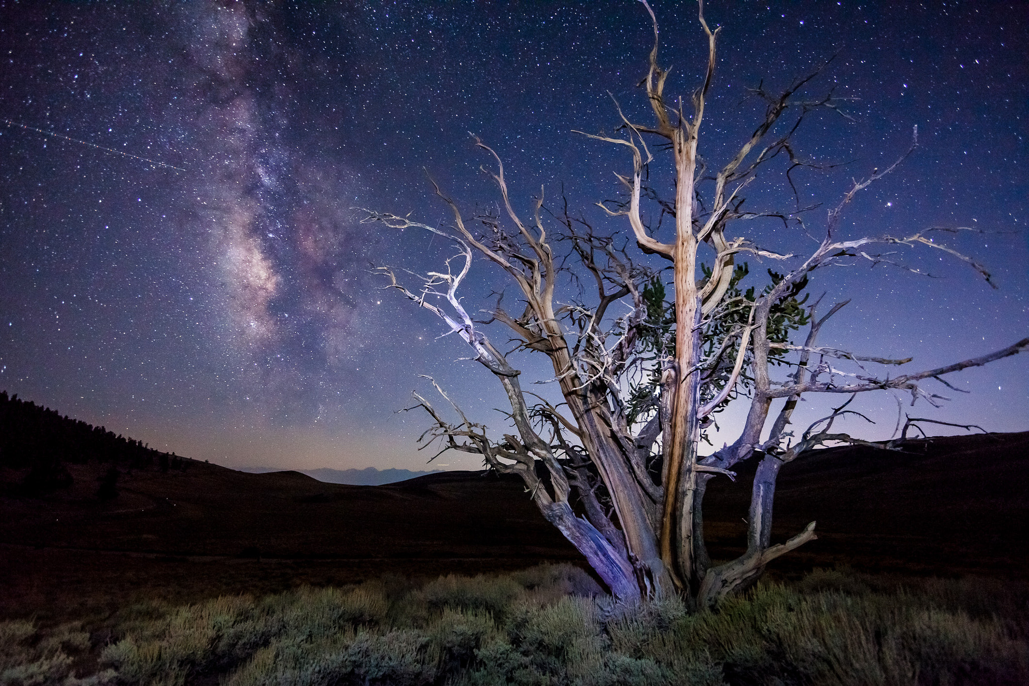 Canon EF 14mm F2.8L II USM sample photo. Beyond white mountain road photography