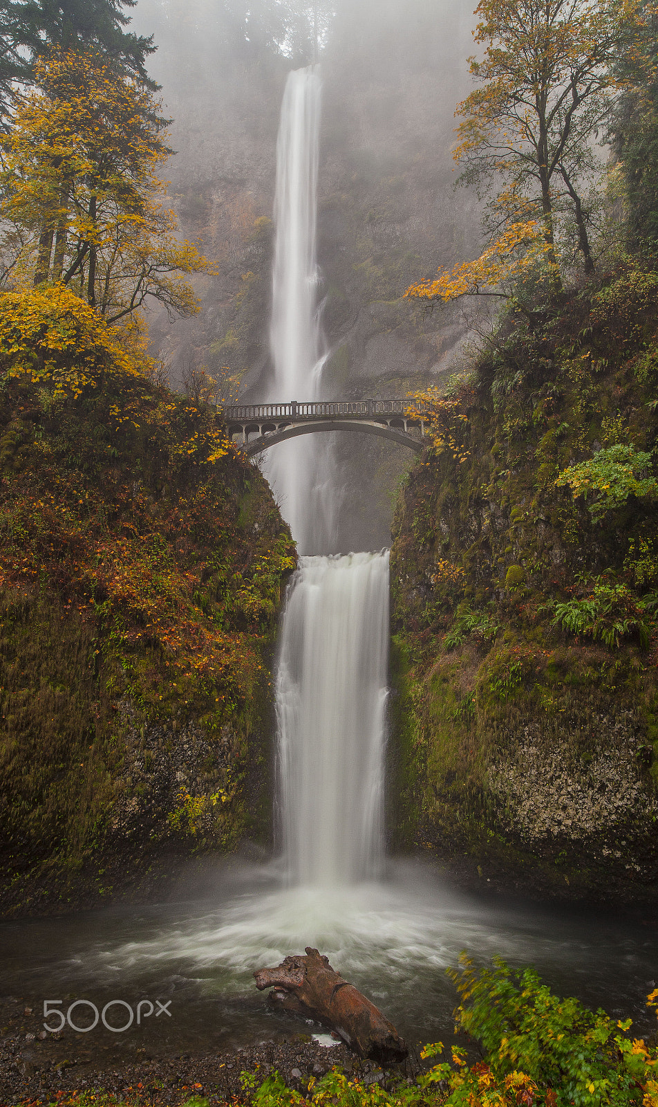 Canon EOS 5D Mark II + ZEISS Distagon T* 21mm F2.8 sample photo. Multnomah falls-columbia river gorge photography