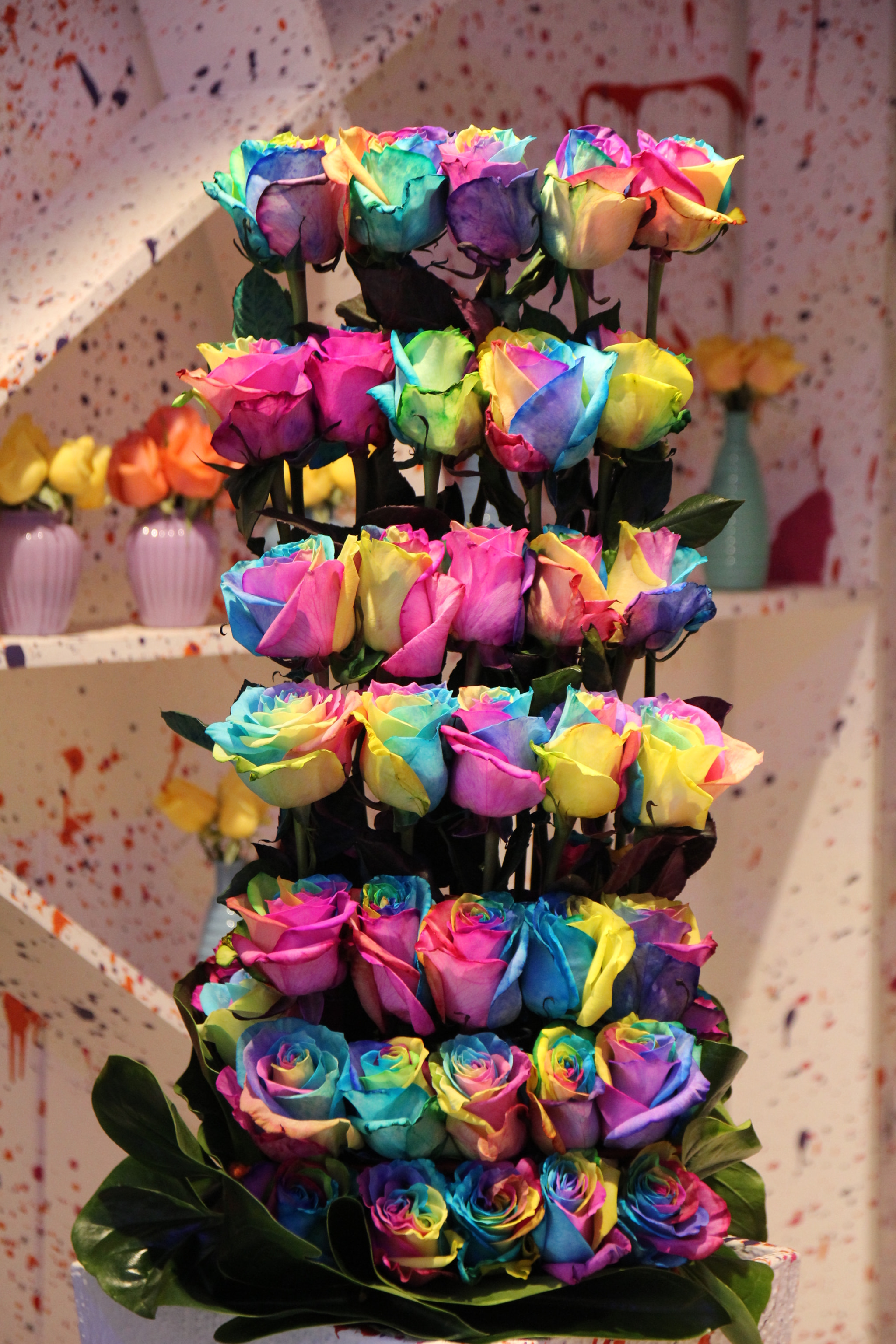 Sigma 17-70mm F2.8-4 DC Macro OS HSM sample photo. Rainbow roses photography
