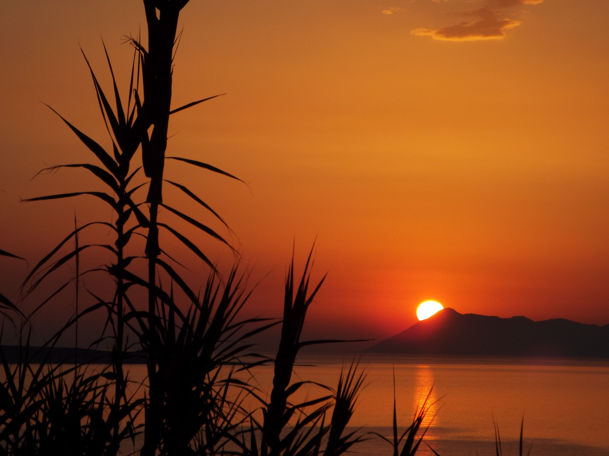 Fujifilm FinePix S9400W sample photo. Sunset in corfu photography