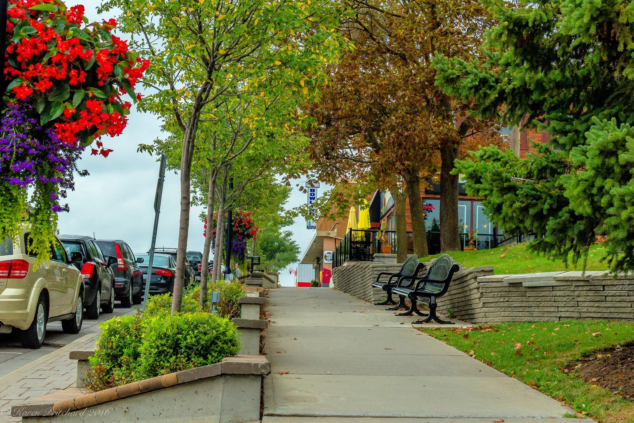 Canon EOS 100D (EOS Rebel SL1 / EOS Kiss X7) sample photo. Uxbridge ontarioa photography