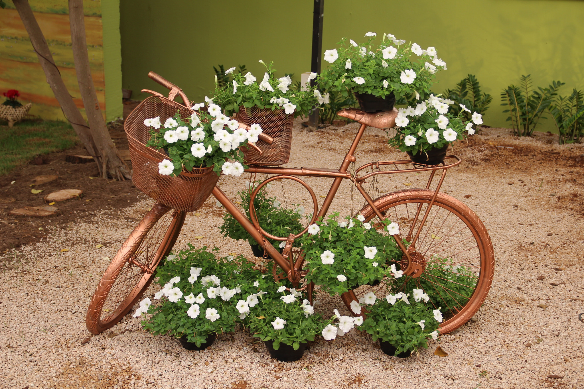 Sigma 17-70mm F2.8-4 DC Macro OS HSM sample photo. Flower bicycle photography