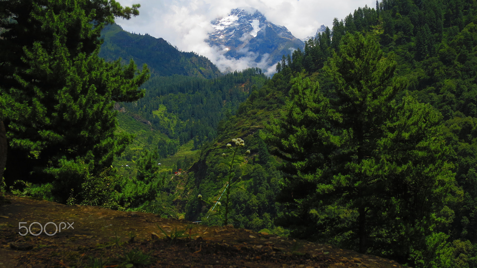 Canon IXUS 240 HS sample photo. Tosh,himachal pradesh photography