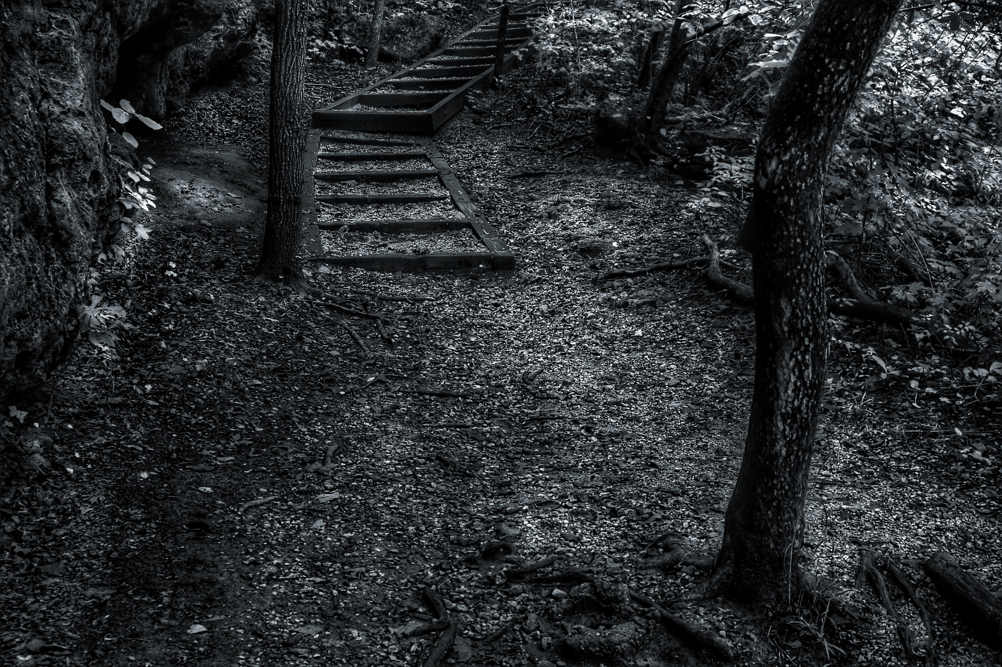 Tamron AF 28-200mm F3.8-5.6 XR Di Aspherical (IF) Macro sample photo. Uphill trail photography
