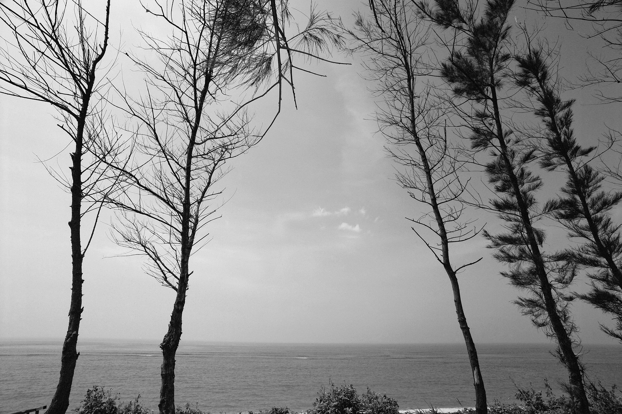 Kodak DCS Pro SLR/n sample photo