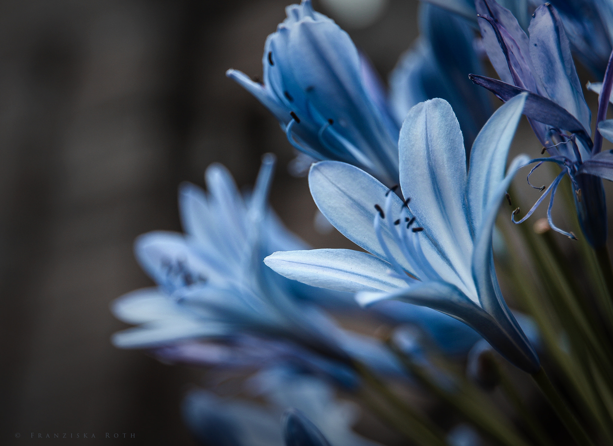 Sigma 18-250mm F3.5-6.3 DC OS HSM sample photo. Silent signs photography