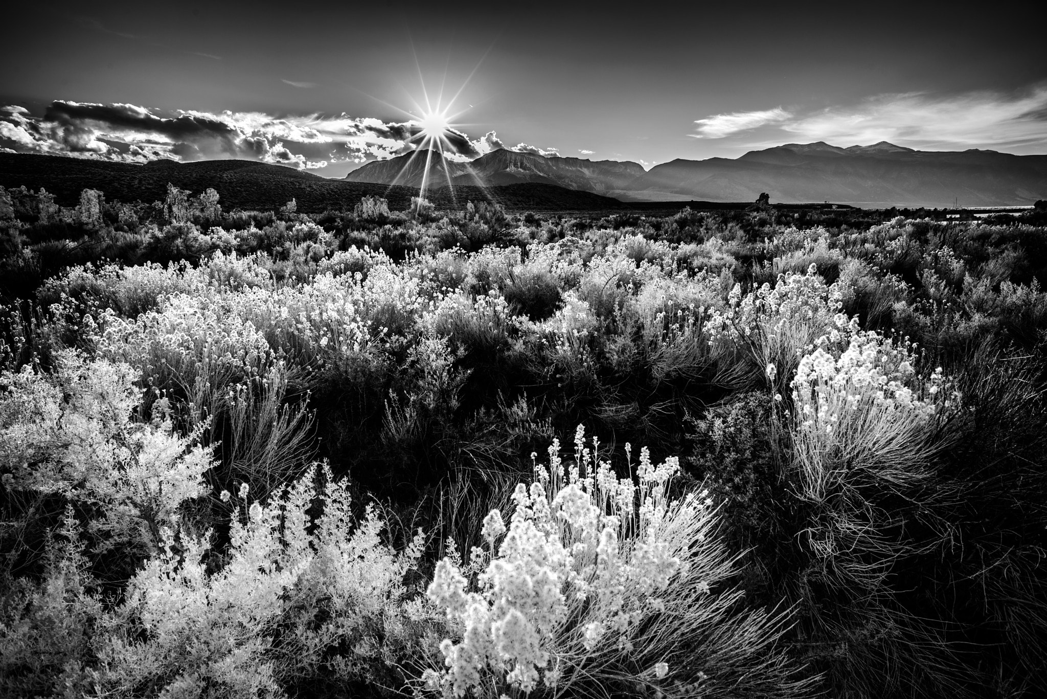 Nikon D610 + Nikon AF Nikkor 20mm F2.8D sample photo. Silhouette sunset photography