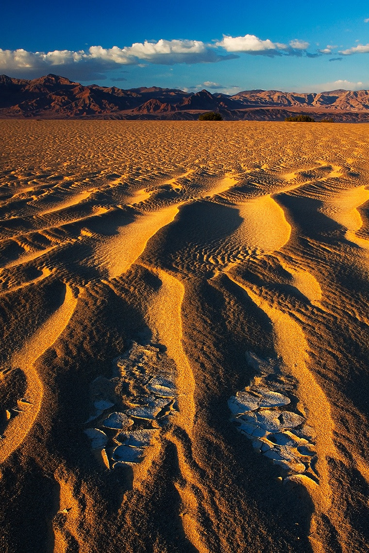 Canon EOS 50D + Canon EF 24-70mm F2.8L USM sample photo. Earlier in the day a sand storm had torn through d ... photography