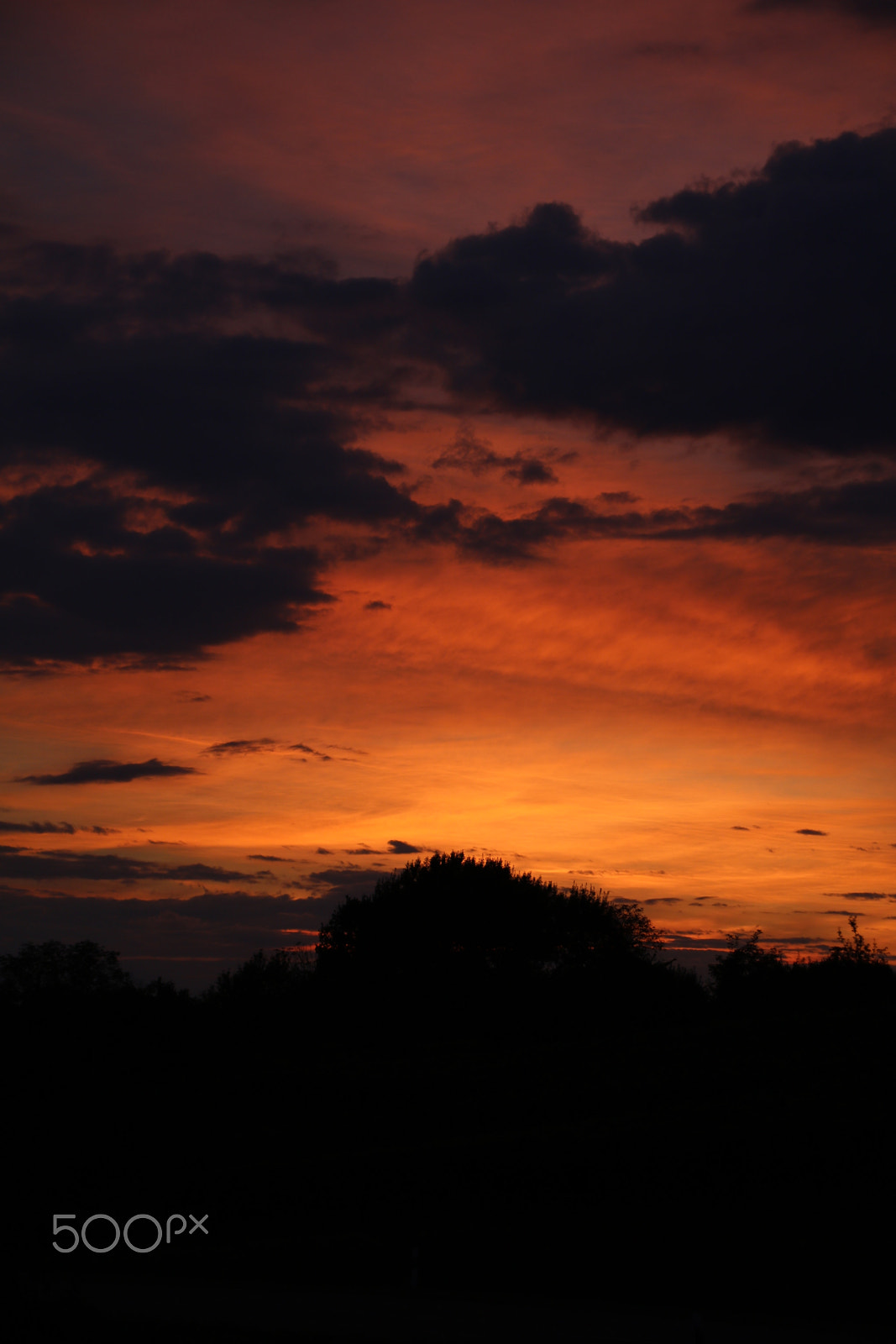 Canon EOS 750D (EOS Rebel T6i / EOS Kiss X8i) + Canon TS-E 90mm F2.8 Tilt-Shift sample photo. Evening sky germany photography