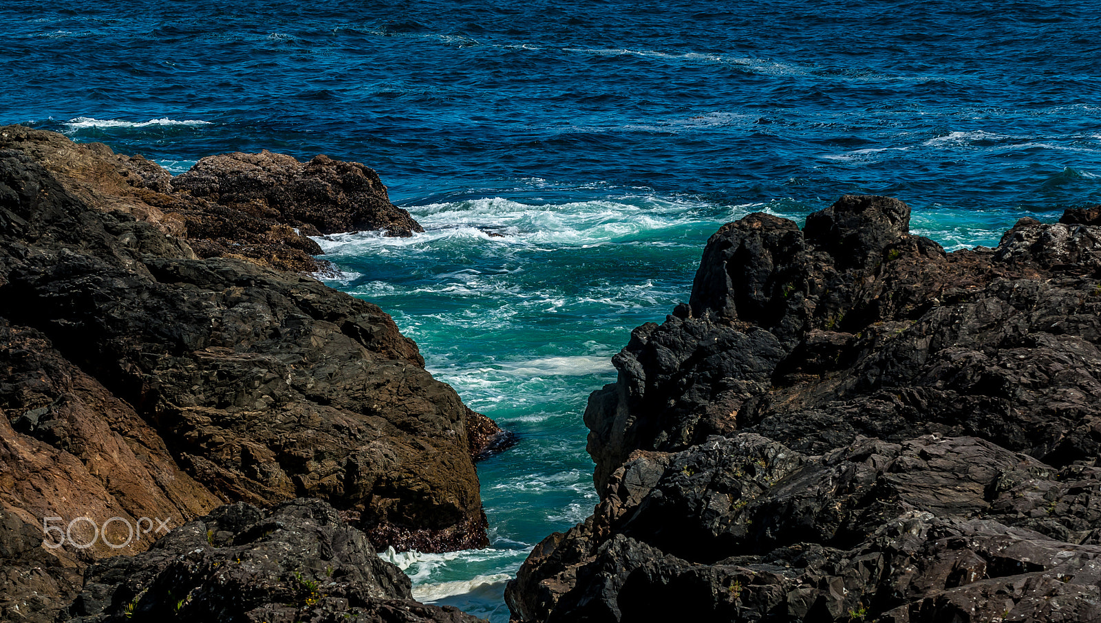 Nikon D200 sample photo. Blues.... photography
