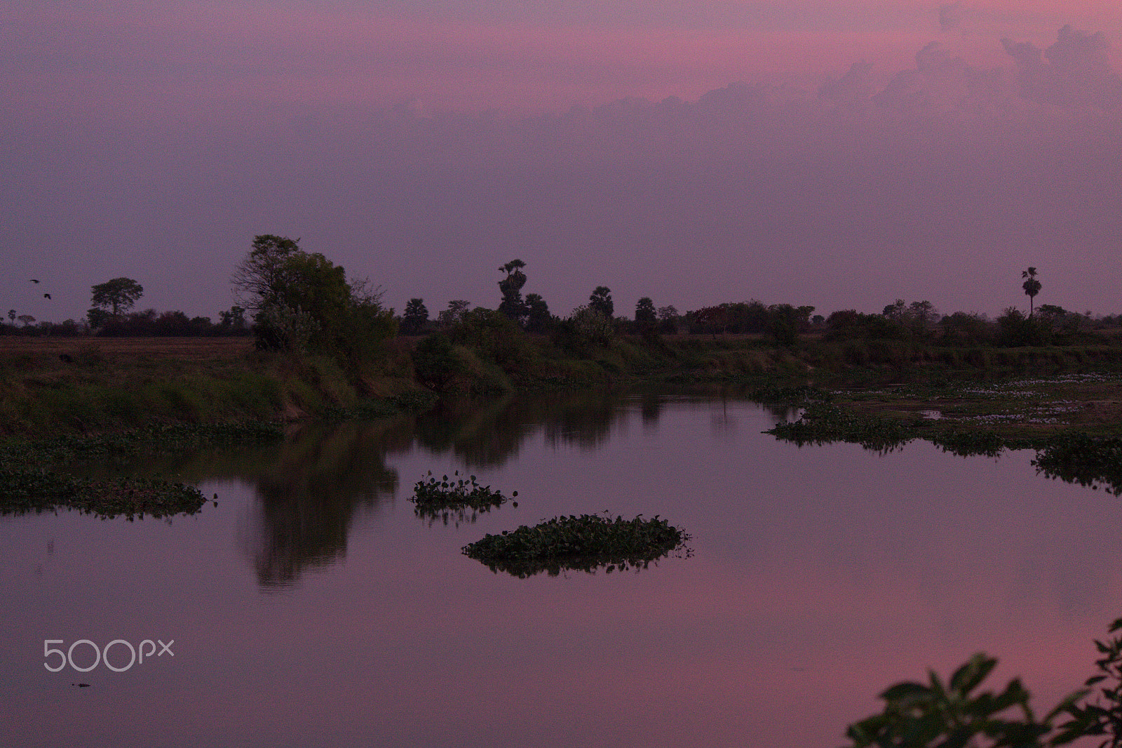 Canon EOS 650D (EOS Rebel T4i / EOS Kiss X6i) sample photo. Golden hour river side  photography