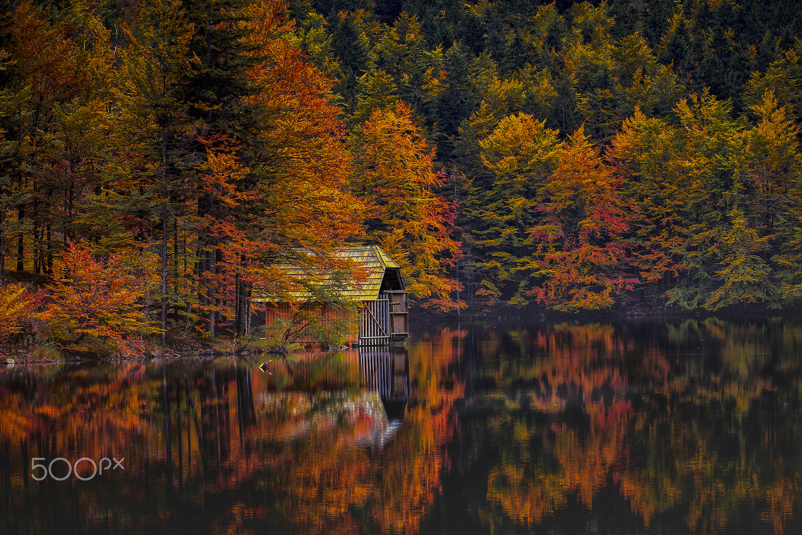 Sony Alpha DSLR-A700 sample photo. Herbst colors langbathsee austria photography