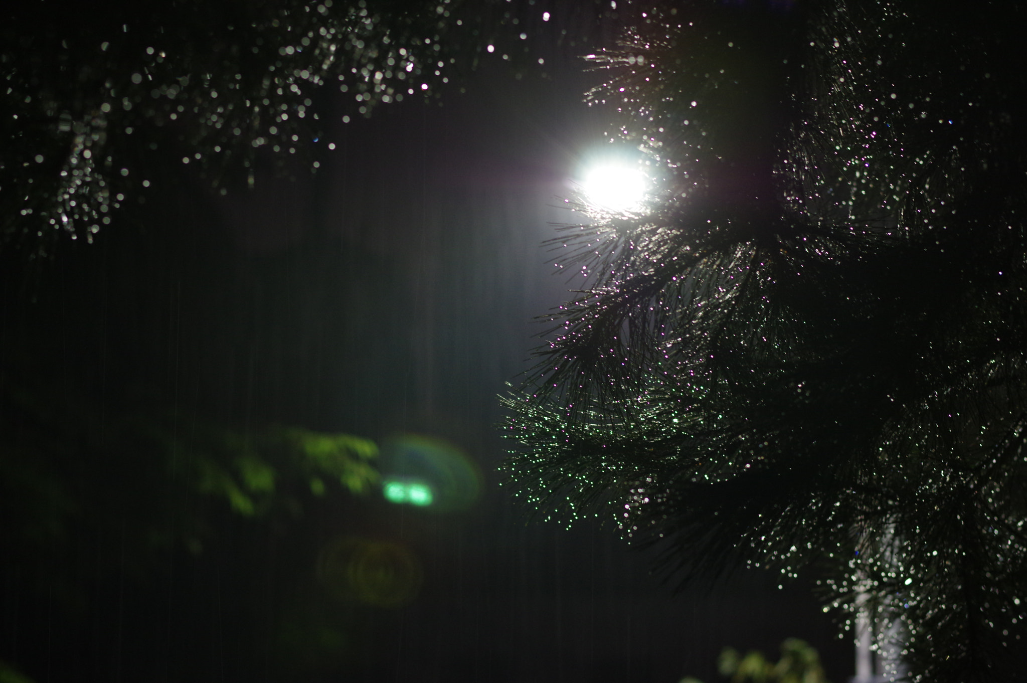 Pentax smc DA* 55mm F1.4 SDM sample photo. Dawn rain photography