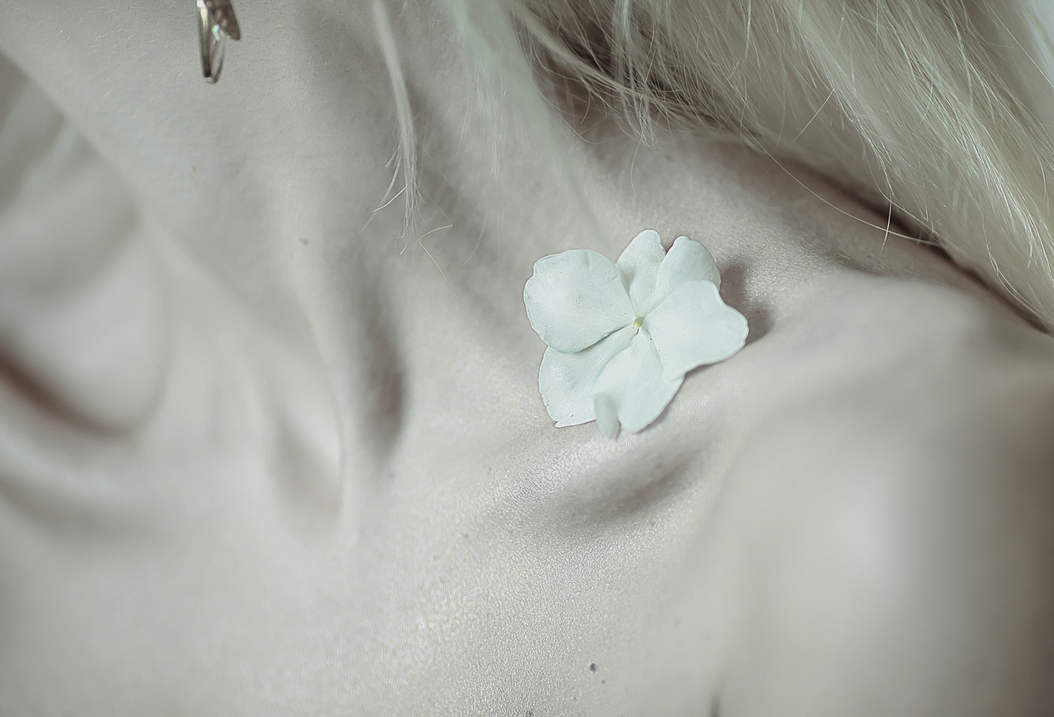 Canon EOS 5DS R + Canon EF 135mm F2L USM sample photo. Fragility photography