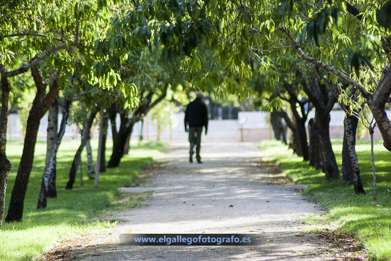 Canon EOS 1000D (EOS Digital Rebel XS / EOS Kiss F) sample photo. Elgallegofotógrafo photography