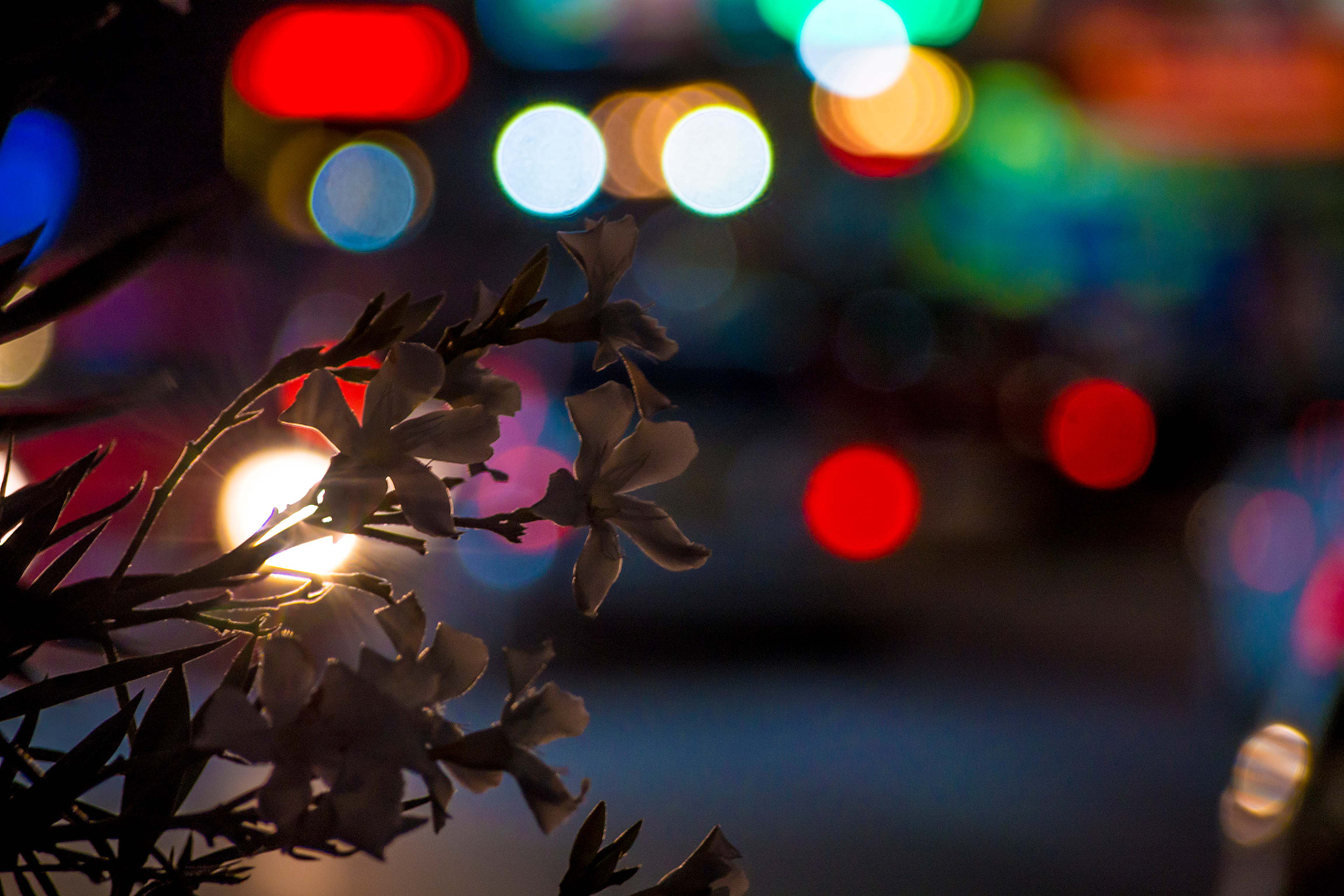 Olympus PEN E-PL5 sample photo. Night colors photography