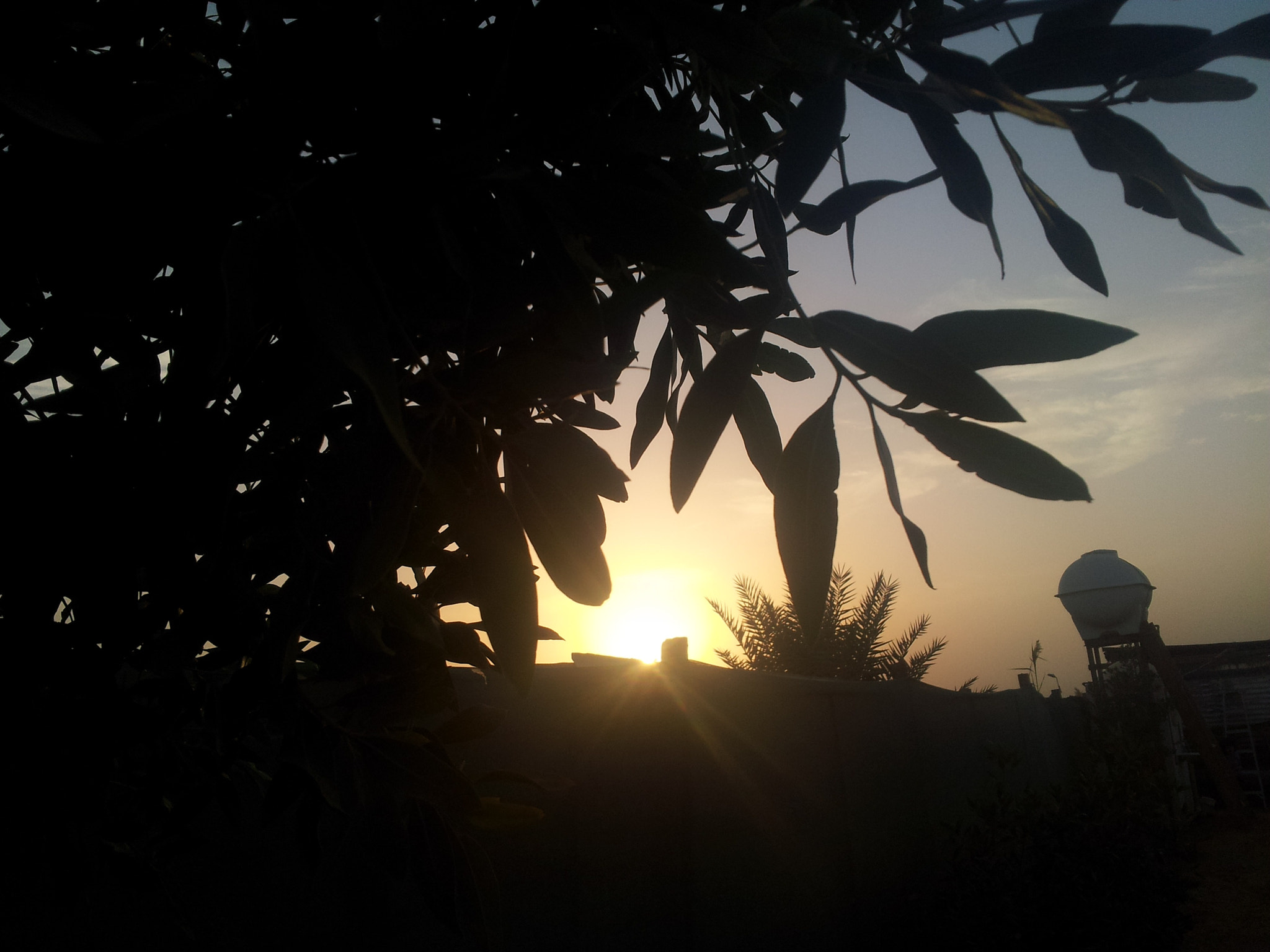 Samsung Galaxy S2 Plus sample photo