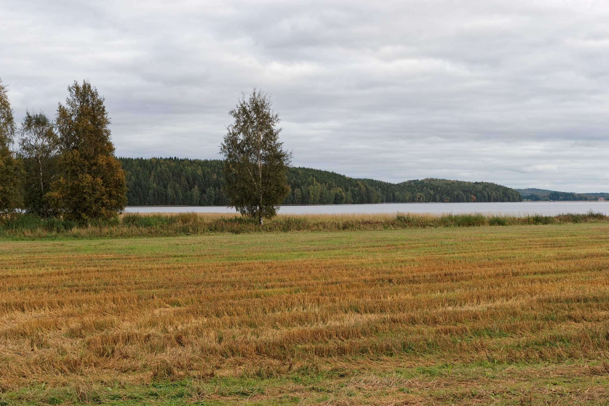 NX 45mm F1.8 [T6] 2D/3D sample photo. Scenery photography