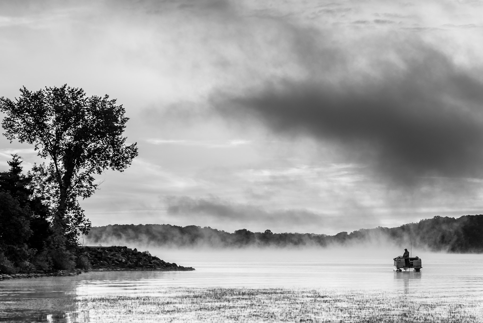 Nikon D810 + Zeiss Milvus 85mm f/1.4 sample photo. On a misty morning  photography