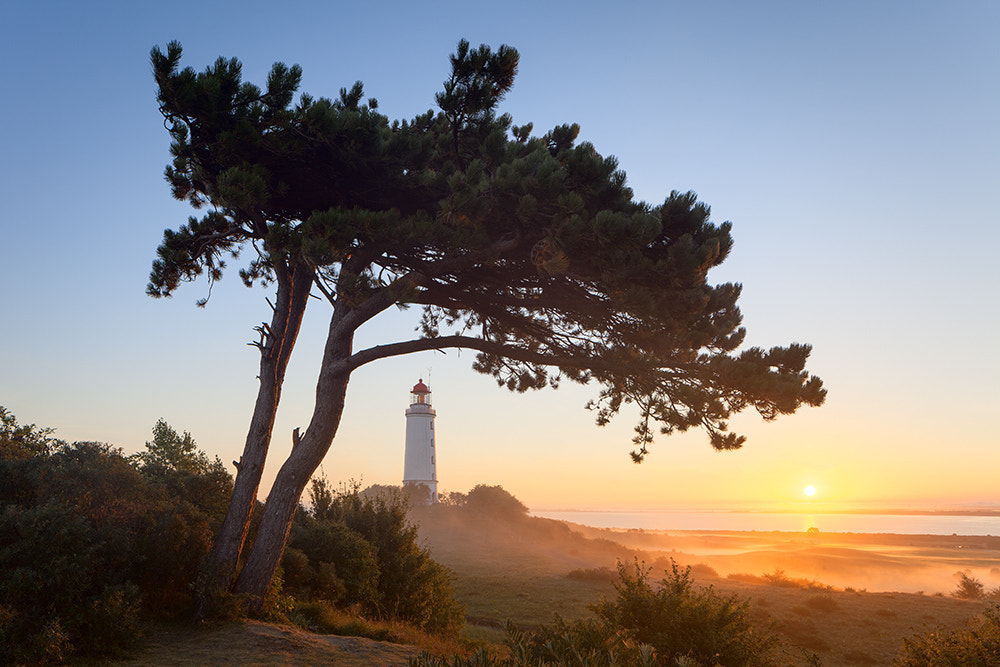 Canon TS-E 24.0mm f/3.5 L II sample photo. Navigational light dornbusch - magic moments photography