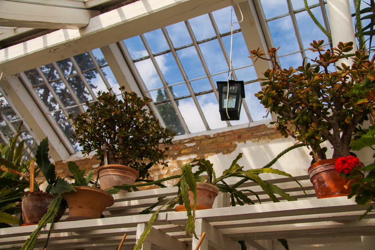 Canon EF-S 17-85mm F4-5.6 IS USM sample photo. Greenhouse lantern photography