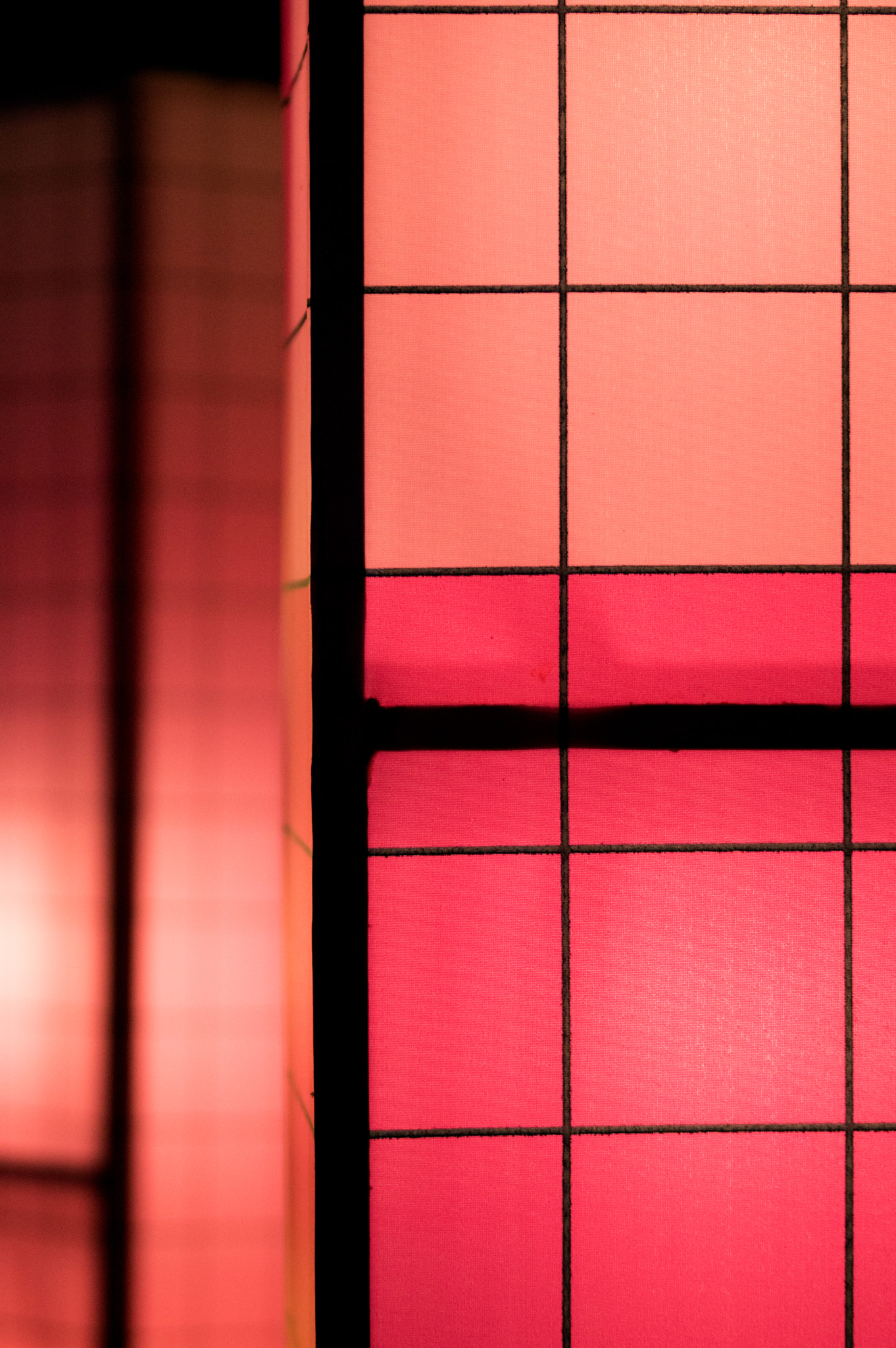 Sigma 105mm F2.8 EX DG OS HSM sample photo. Lights & color photography