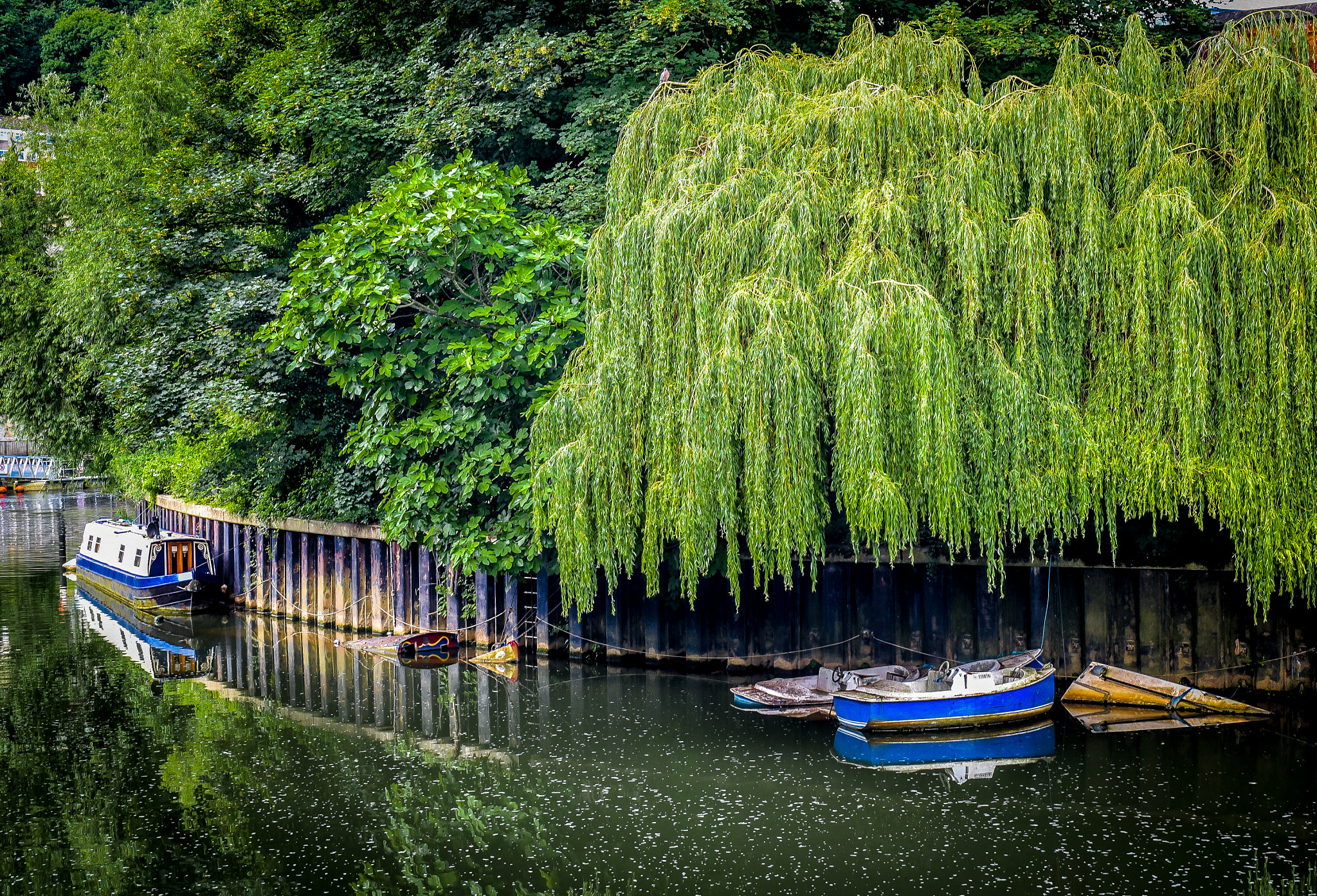 Nikon D750 + AF Zoom-Nikkor 28-85mm f/3.5-4.5 sample photo. Bath river avon photography