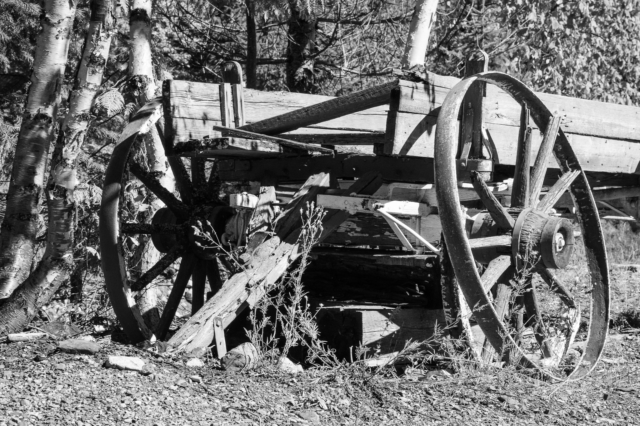 Sony ILCA-77M2 + Sigma 17-70mm F2.8-4 DC Macro HSM sample photo. Ghost town wagon photography