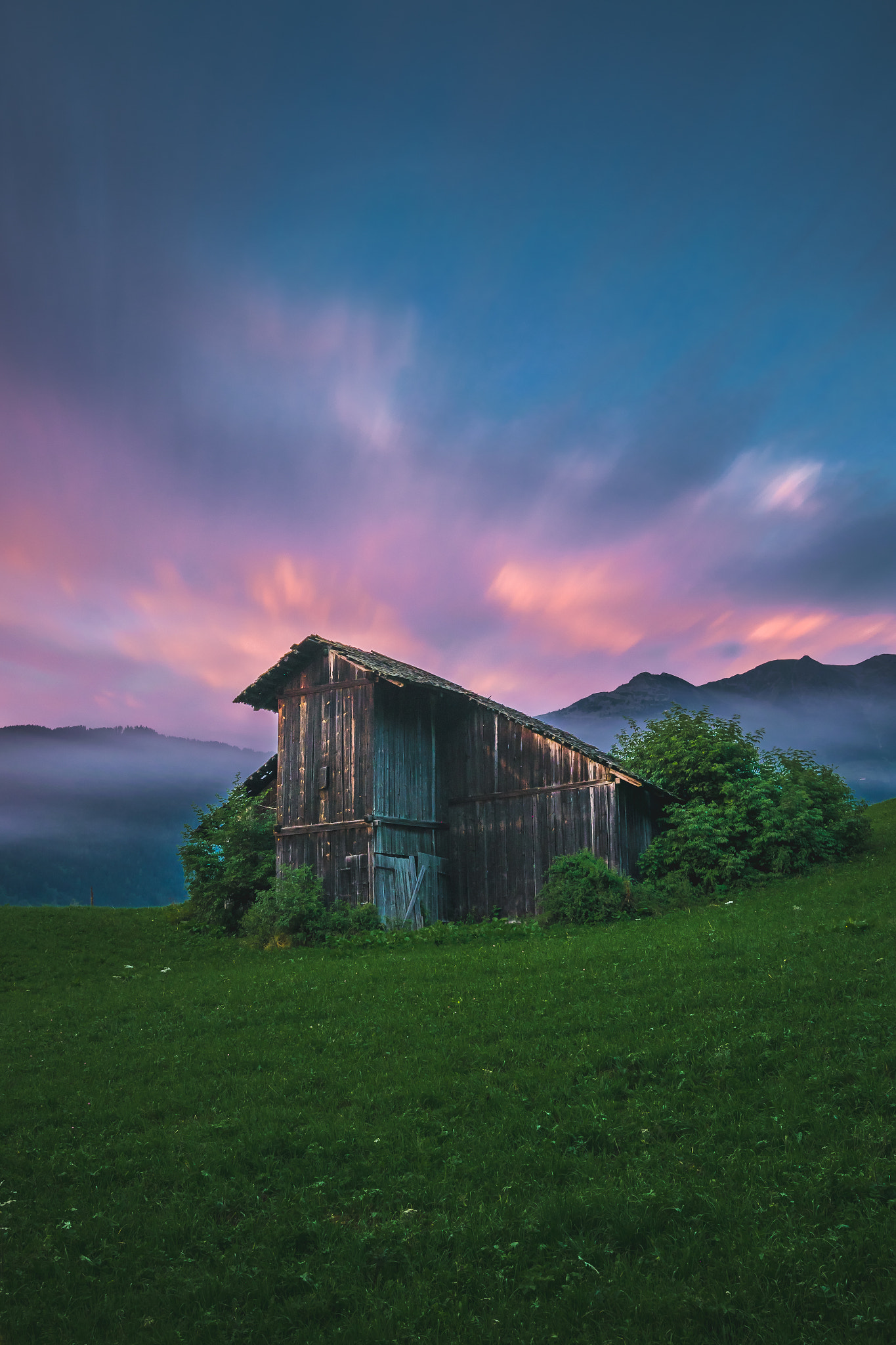 Nikon D3300 + Sigma 18-35mm F1.8 DC HSM Art sample photo. Old overgrown barn  photography