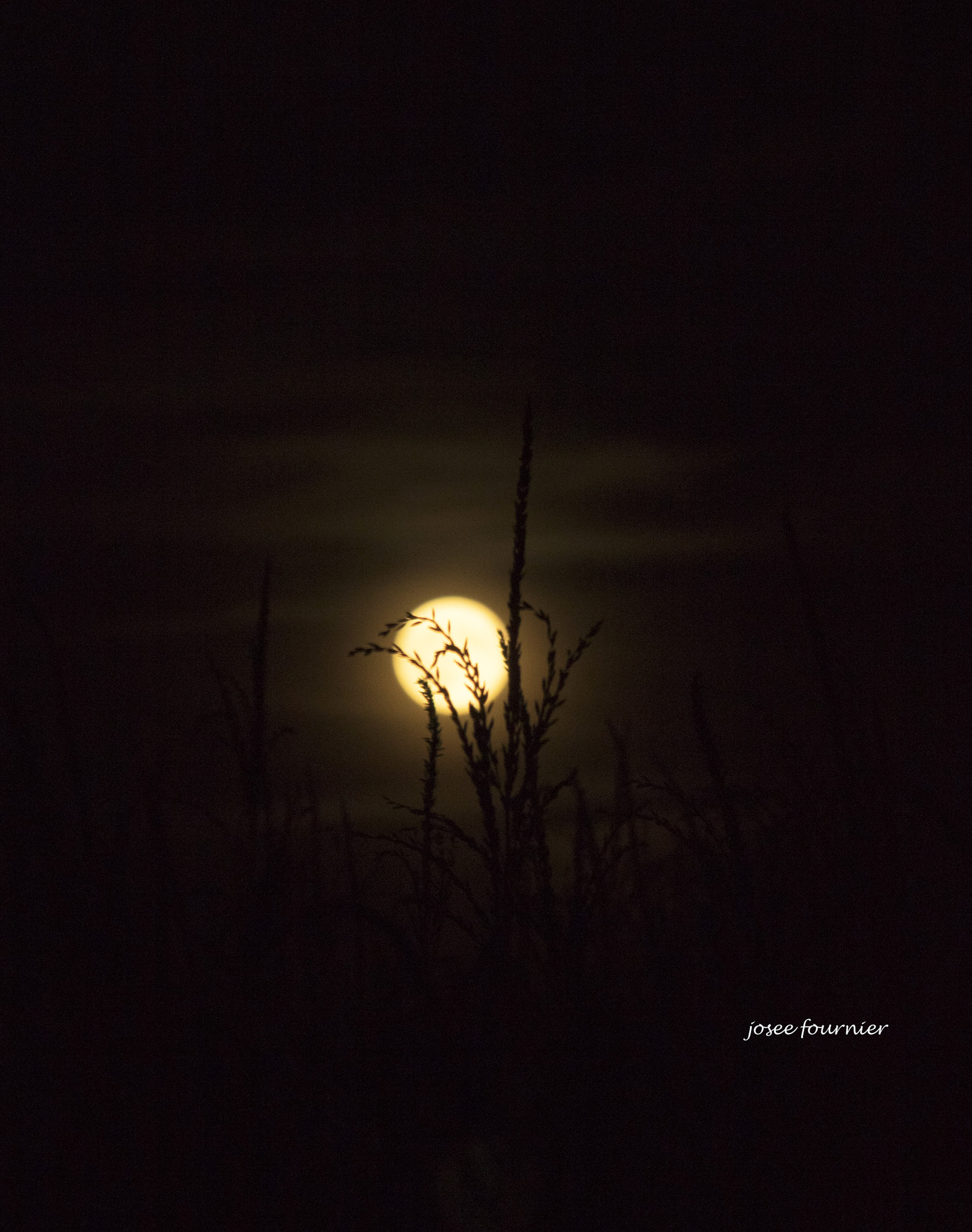 Canon EOS 760D (EOS Rebel T6s / EOS 8000D) sample photo. Plein lune a mirabel photography