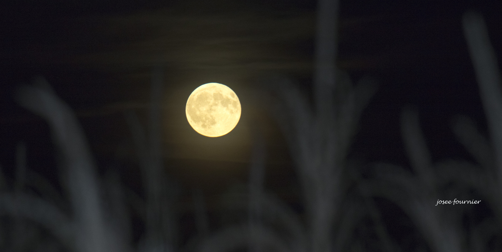 Canon EOS 760D (EOS Rebel T6s / EOS 8000D) sample photo. Plein lune a mirabel photography