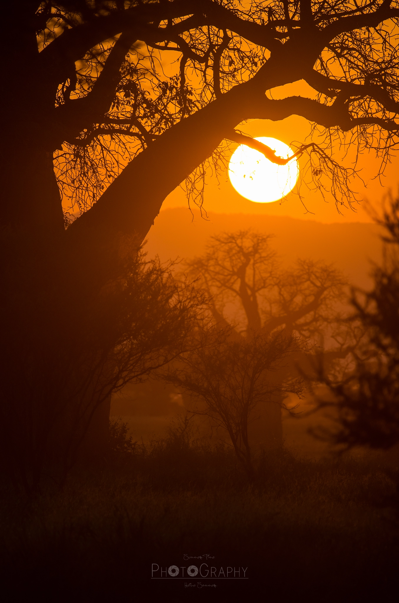 Pentax K-5 sample photo. African sunset photography