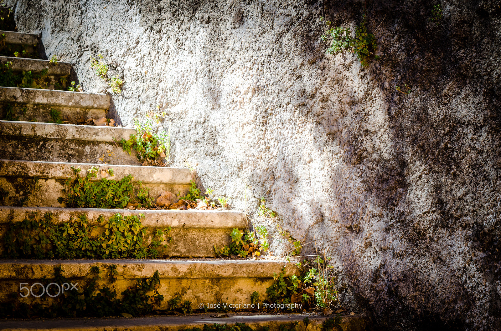 Nikon AF-S Nikkor 24-120mm F4G ED VR sample photo. Stairs colour photography
