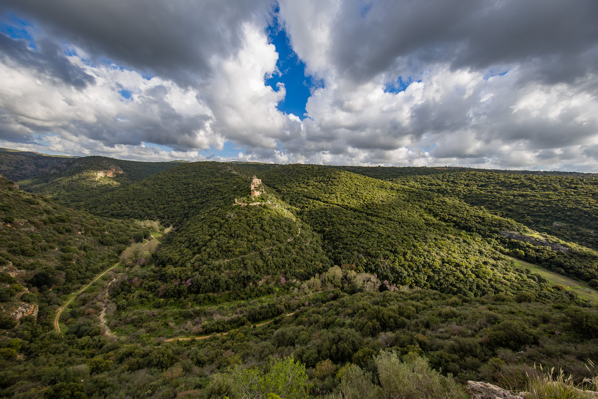 Canon EOS 6D + Canon EF 11-24mm F4L USM sample photo. Montfort photography