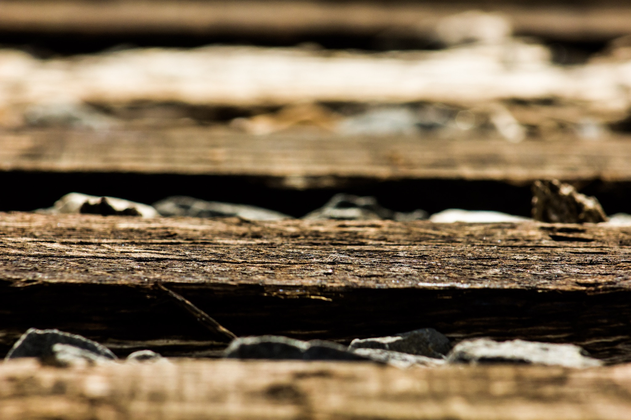 Canon EF 75-300mm f/4-5.6 USM sample photo. Brown photography