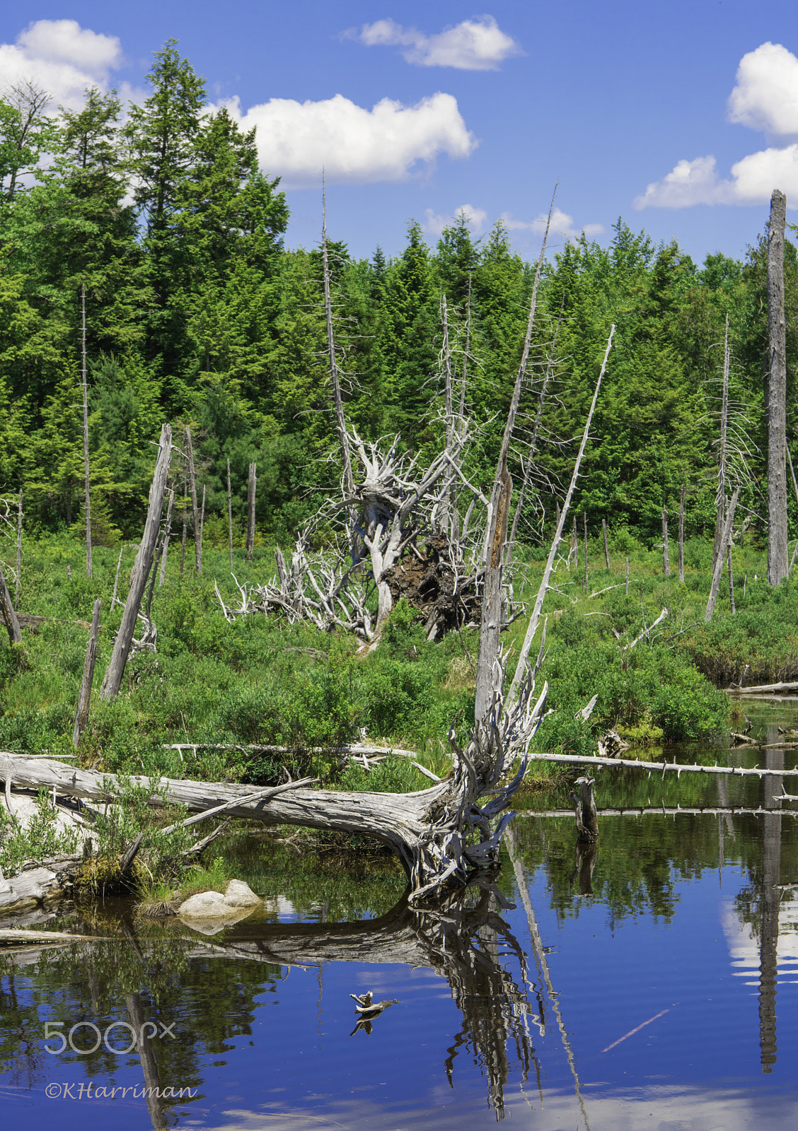 Canon EOS 750D (EOS Rebel T6i / EOS Kiss X8i) sample photo. West grand lake photography