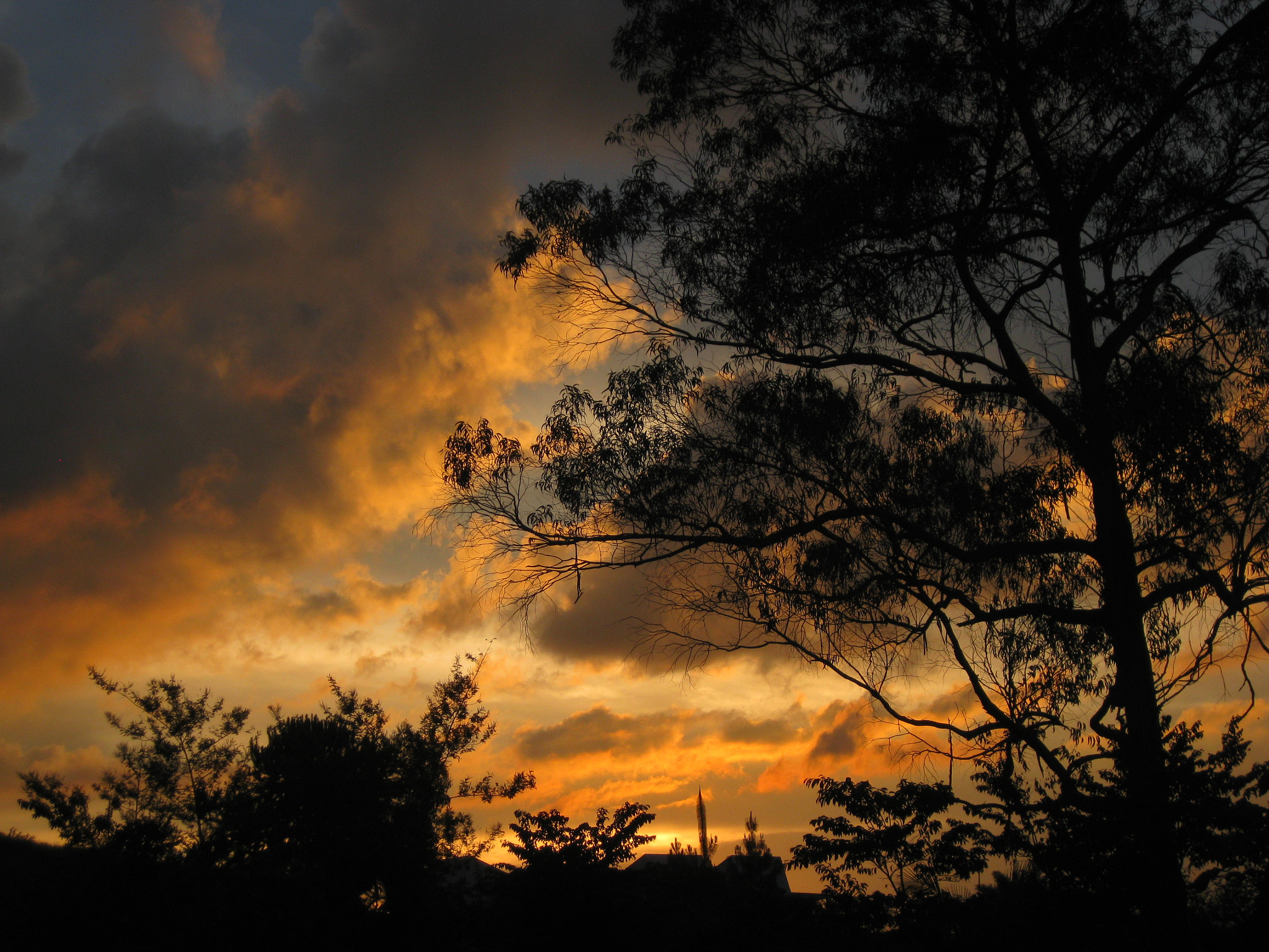Canon PowerShot SD770 IS (Digital IXUS 85 IS / IXY Digital 25 IS) sample photo. Atardecer photography