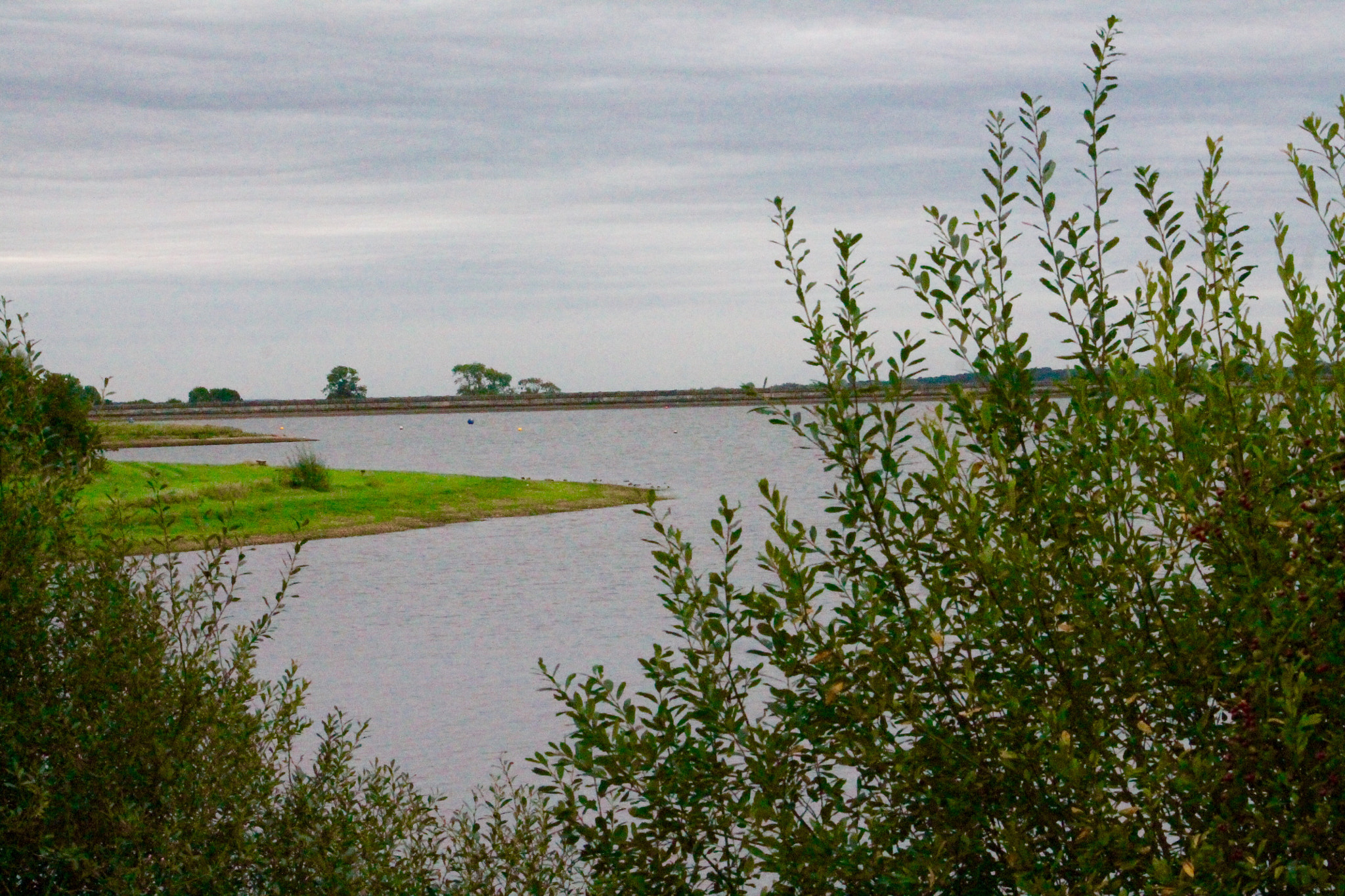 Canon EF75-300mm f/4-5.6 sample photo. View from the spiny photography