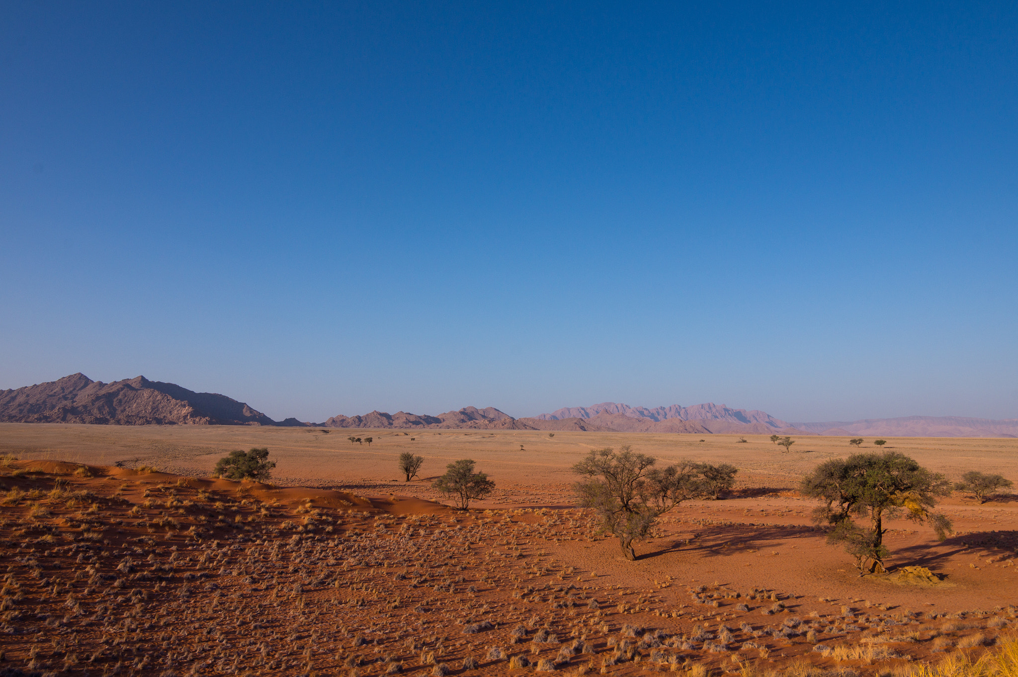 Sony SLT-A58 + 20mm F2.8 sample photo. Namib national park photography