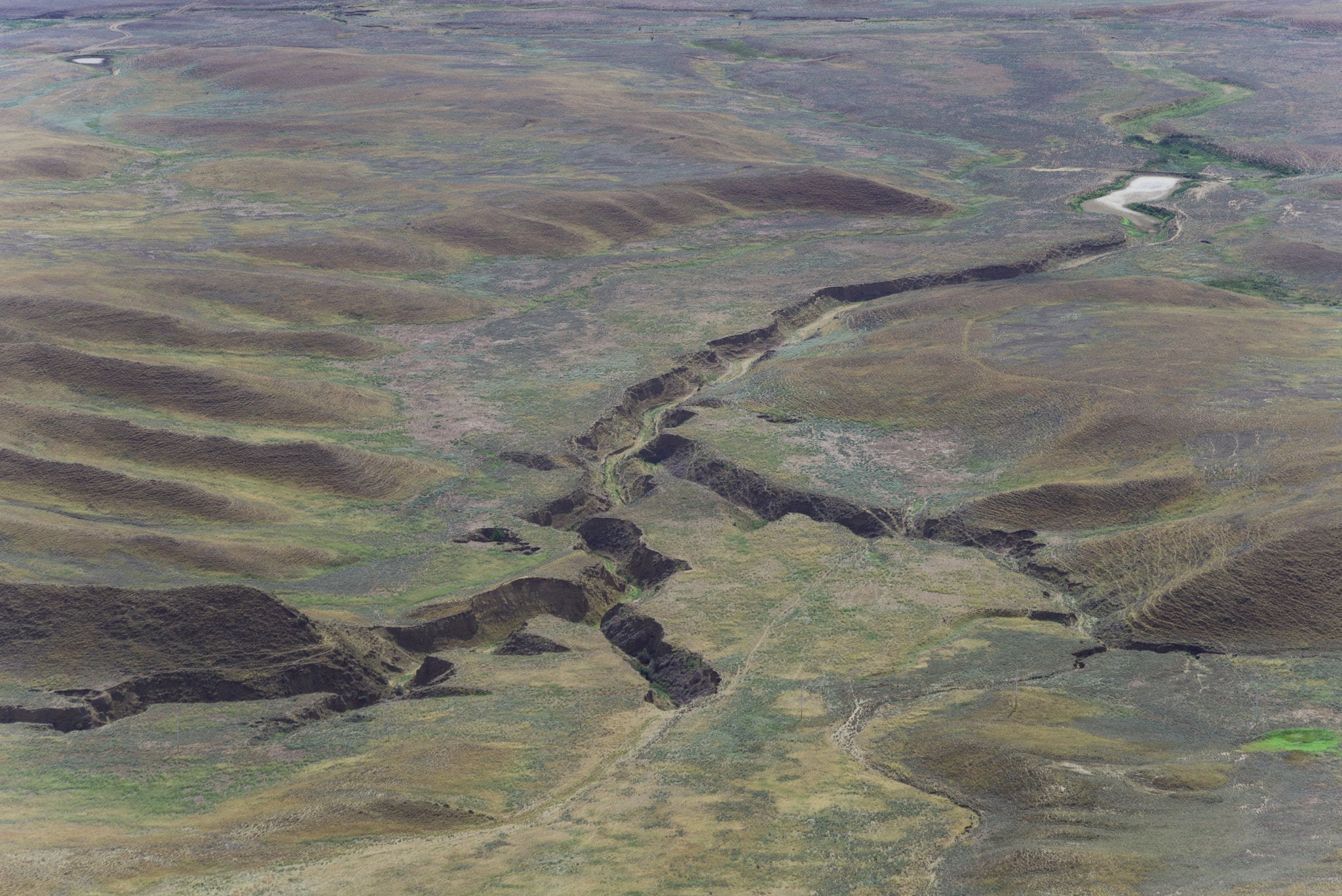 Nikon D600 sample photo. Azerbaijan seen from david gareja photography