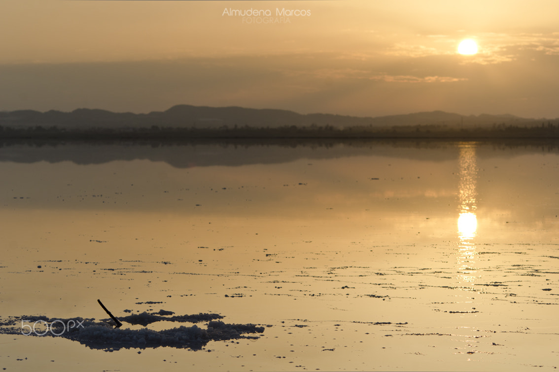 Nikon D7000 + AF Nikkor 70-210mm f/4-5.6D sample photo. Ataraxia photography